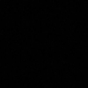 Meet your Posher, Burley